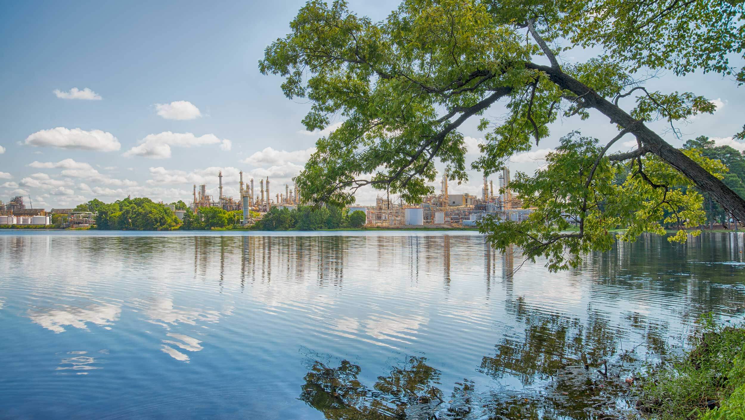 A tree branches out over Eastman Lake on a sunny day in Longview, Texas