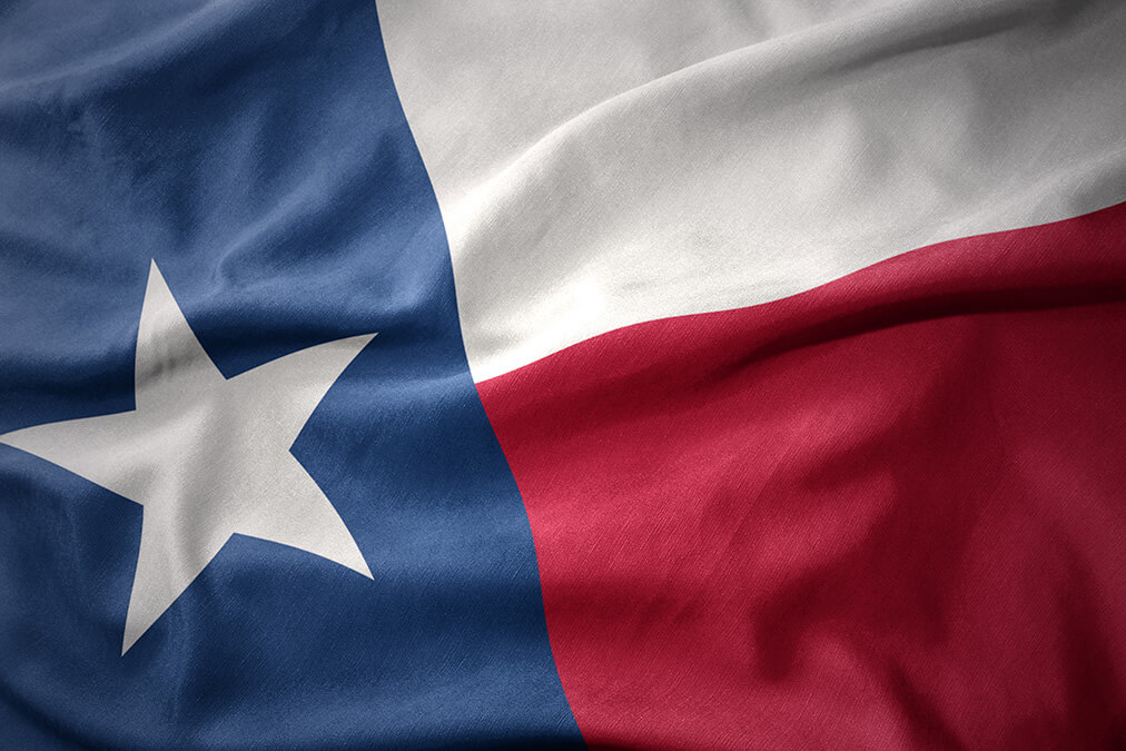 waving colorful national flag of Texas state